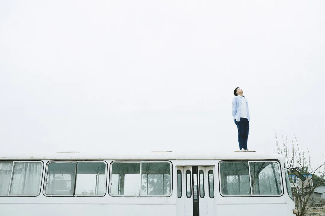 惊人的“懒蚂蚁效应”：越勤奋，越平庸？