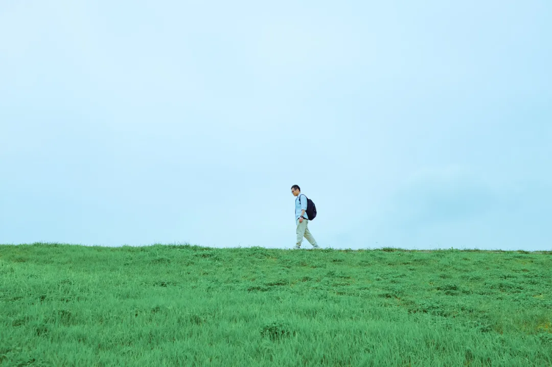 惊人的“懒蚂蚁效应”：越勤奋，越平庸？