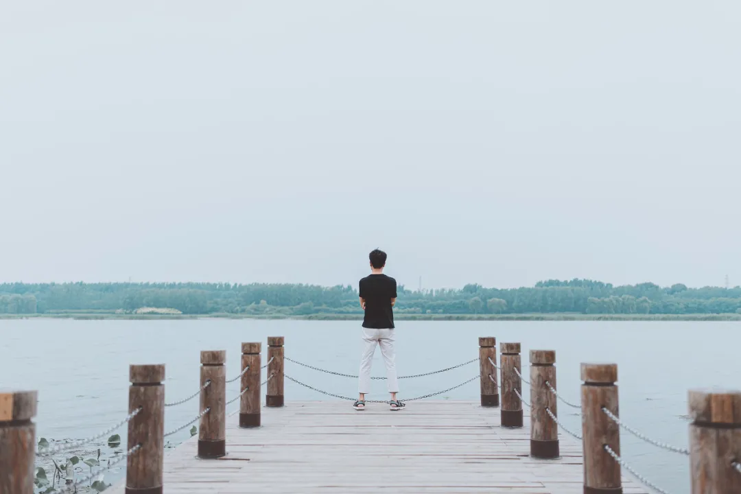 惊人的“懒蚂蚁效应”：越勤奋，越平庸？