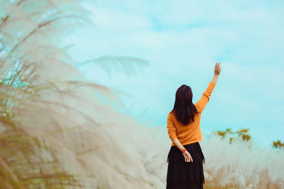 像经营公司那样，经营自己的人生