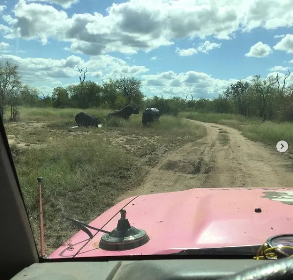 80岁，驾一辆85岁的车环游世界，她退休后走过58个国家