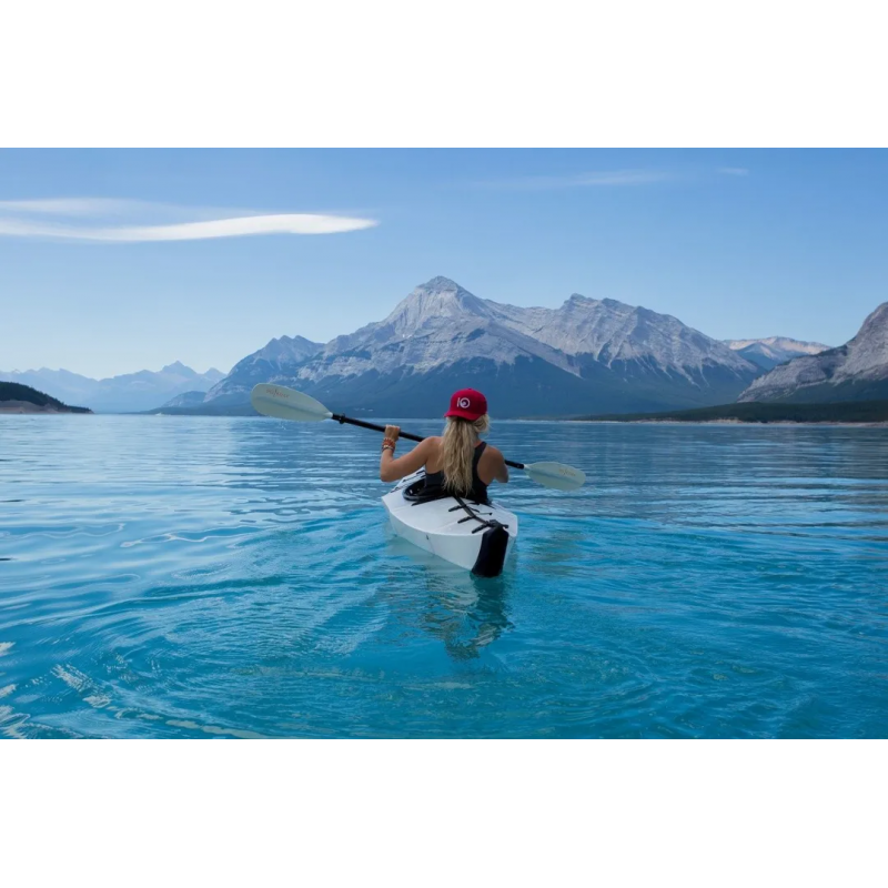 大事要静，急事要缓，难事要变，烂事要远