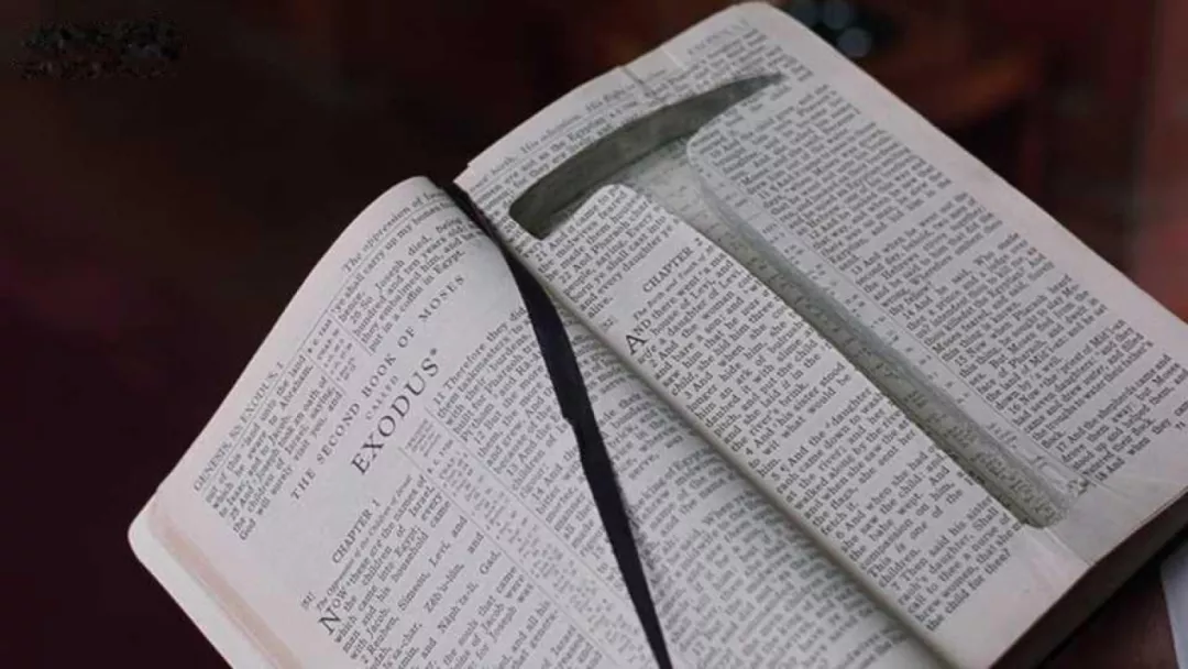 再读《肖申克的救赎》，我顿悟了人一生，为什么要读很多的书